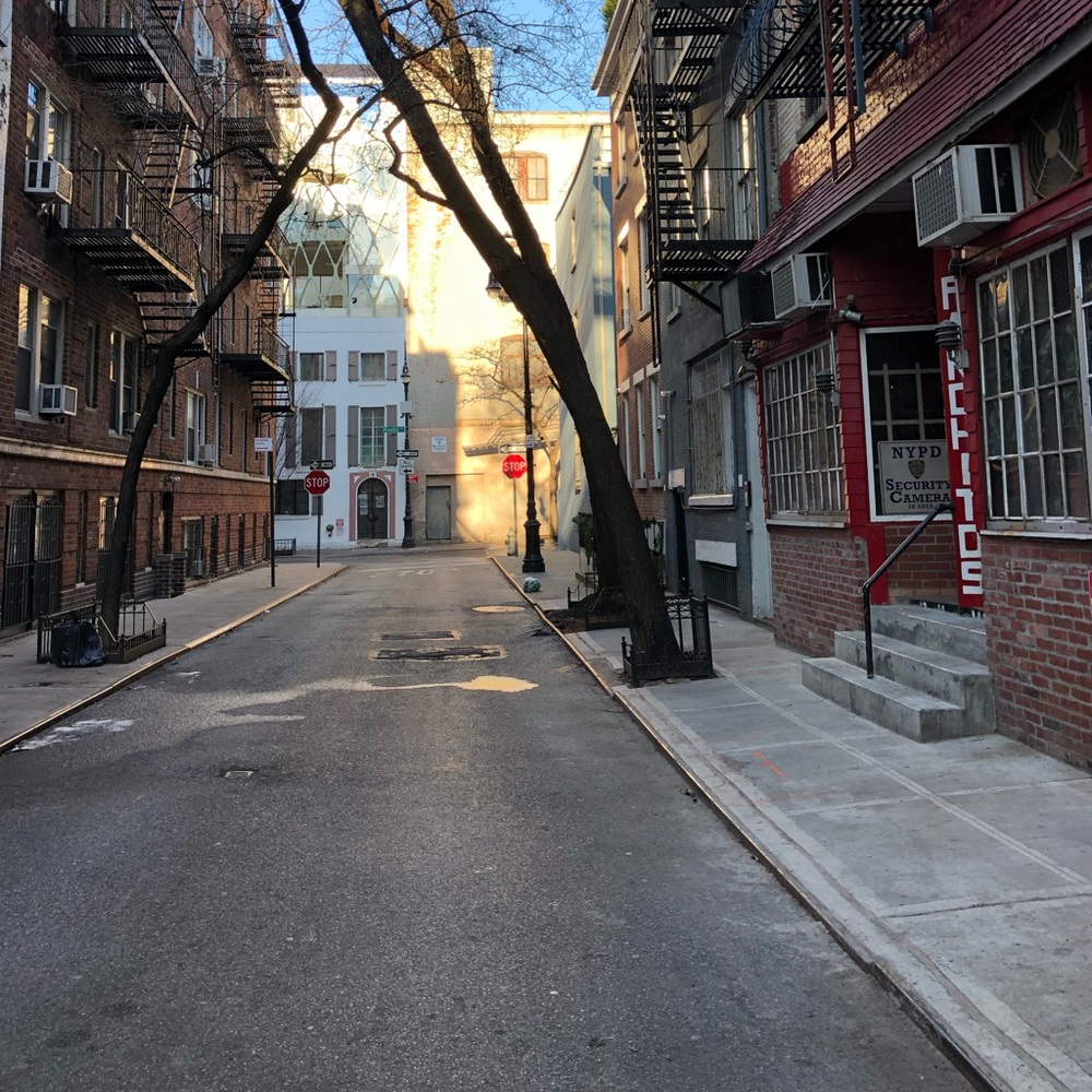 Meet your Posher, Elizabeth